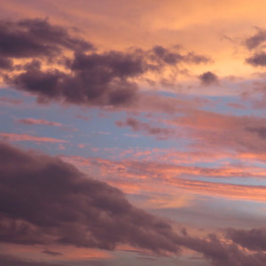 Forever Young【Prod.by Gr33nart Beats】