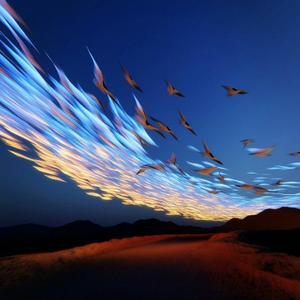 爱有奇迹（DJ小辞Remix）