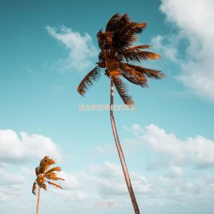 适合酒店富有的音乐