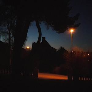 Wish I Could Tell You