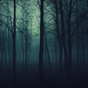 天堂岛之歌 (Detectorx Remix)