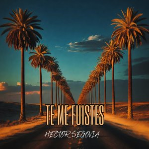 TE ME FUISTES