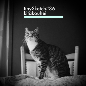 tinySketch #36