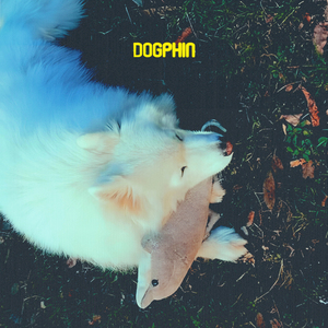 Dogphin