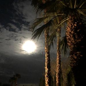 Spirts in the boneyard