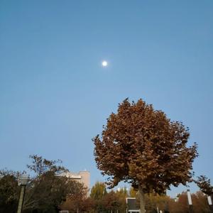 思念是一种病 feet.赵浪