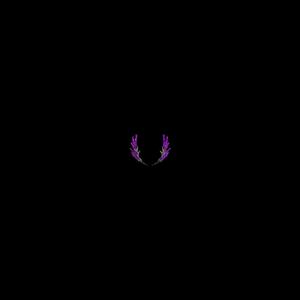 chaand intro