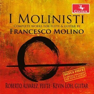 Duo in D Major, Op. 16 No. 1 (Version for Flute & Guitar):I. Andante sostenuto