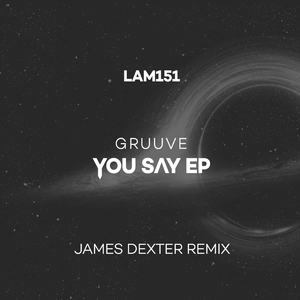You Say (James Dexter Remix)