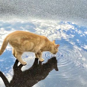 夏天的风