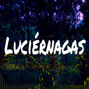 Luciérnagas