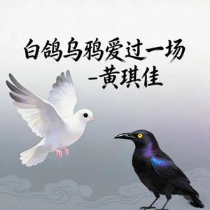 白鸽乌鸦爱过一场