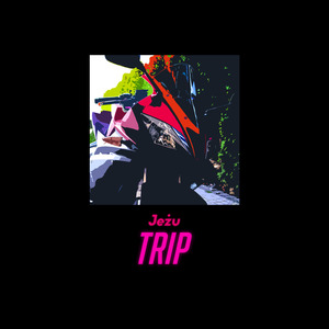 Trip