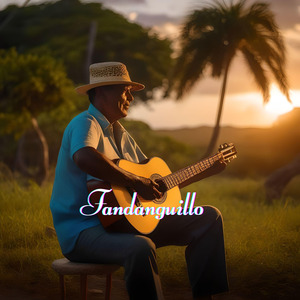 Fandanguillo (Cover)