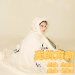 光的方向(《长歌行》电视剧片头主题曲)（翻自王雨桐）