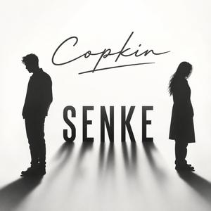 Senke