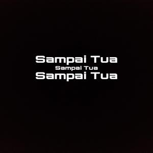 Sampai tua