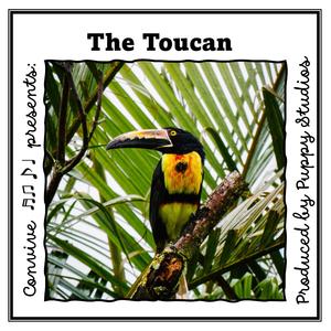 The Toucan