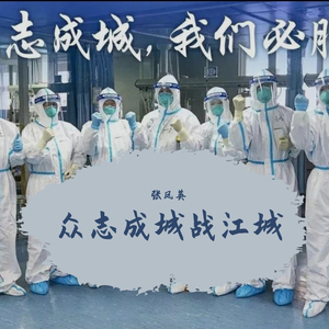 众志成城战江城 张凤英