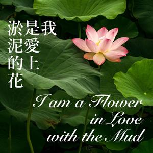 我是爱上淤泥的花