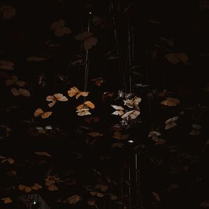 思念 (cover. YELLOW黄宣)