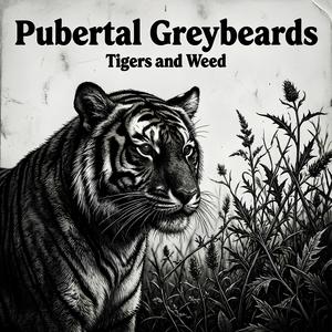 Tigers and weed