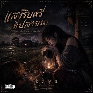 แสงริบหรี่ที่ปลายนา