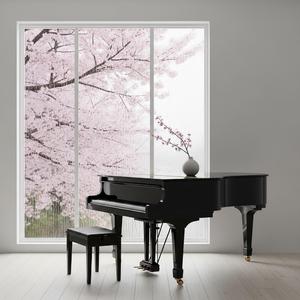 Rainy Blossom Café Focus