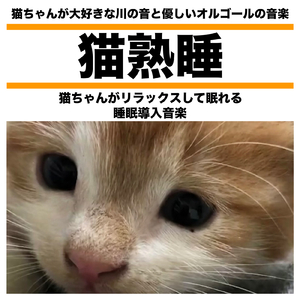 猫ちゃんがまったりぐっすりできる音楽