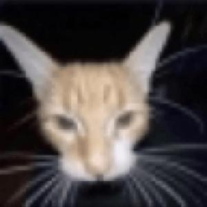 L.M.N.U. (feat. Plotki)