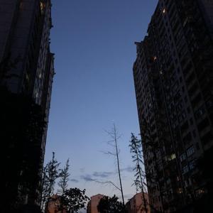 一起吹过晚风的街（翻自聂思诗）