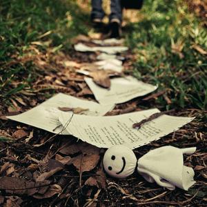 Another Sentimental Song