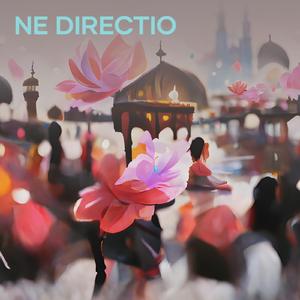 Ne Directio (Cover)