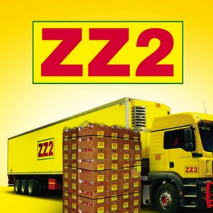 Professional Interview