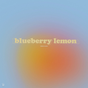blueberry lemon