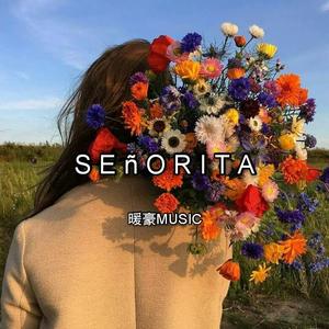 Shawn Mendes-Señorita（NUANHAO / MINGYANG remix）