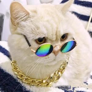 鄙视链 (prod.XVIBE）