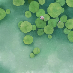 这一生关于你的风景