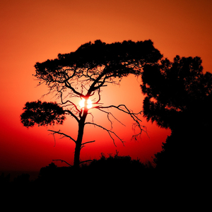 River Songs (Relaxing Piano Music Version)