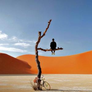 dan - 酒醉的蝴蝶（0.8版）