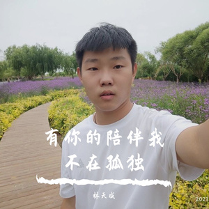 有你的陪伴我不在孤独