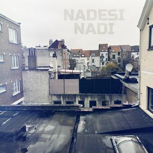 Nadi