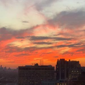 我喜欢你时的内心活动