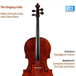 Arpeggione Sonata in A Minor, D. 821: I. Allegro moderato