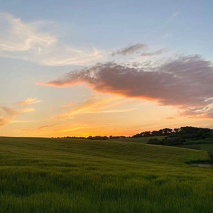 Мне каждую ночь сниться твой голос