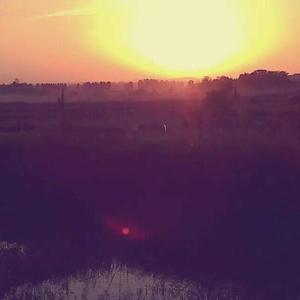 Avicii-How Many Lovers（Asaika Remix）