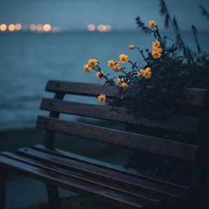 人生就是不断的相遇和告别