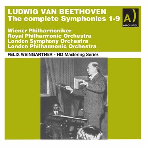 Symphony No. 9 in D Minor, Op. 125 "Choral":IV. Finale. Presto