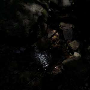 lost(original)