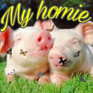 My homie[prod by jaming beats]